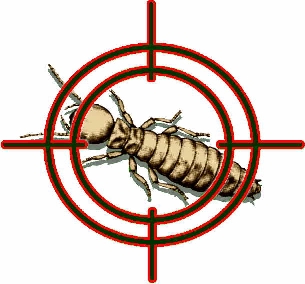 termite banned.jpg